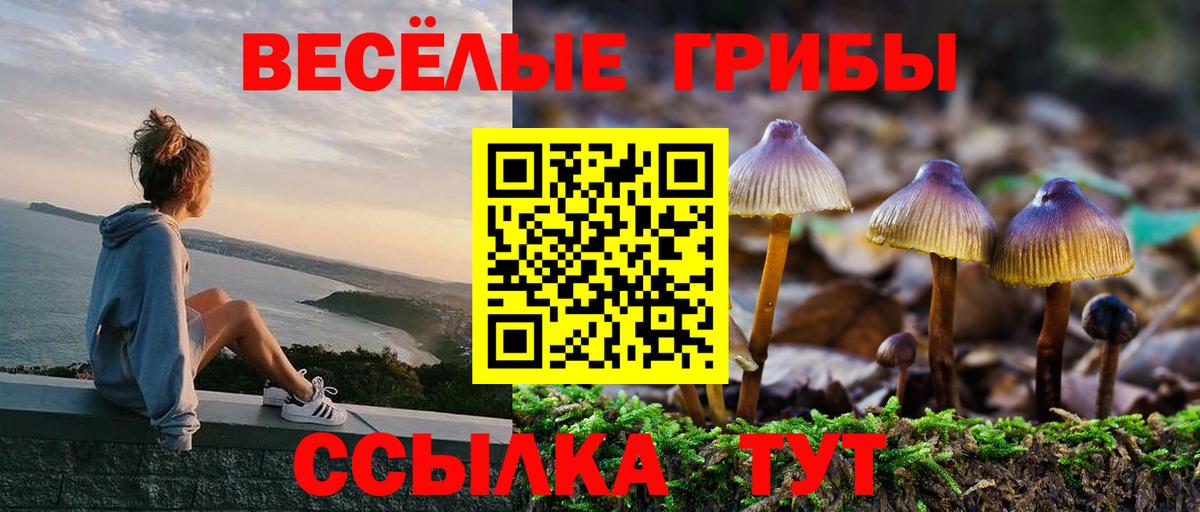 Орехово-Зуево  Галлюциногенные грибы ЛСД  Вход с VPN 
