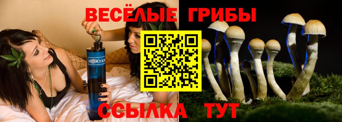 Псилоцибиновые грибы Cubensis Орехово-Зуево